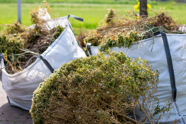 Best Estate Cleanout  in Willowick, OH